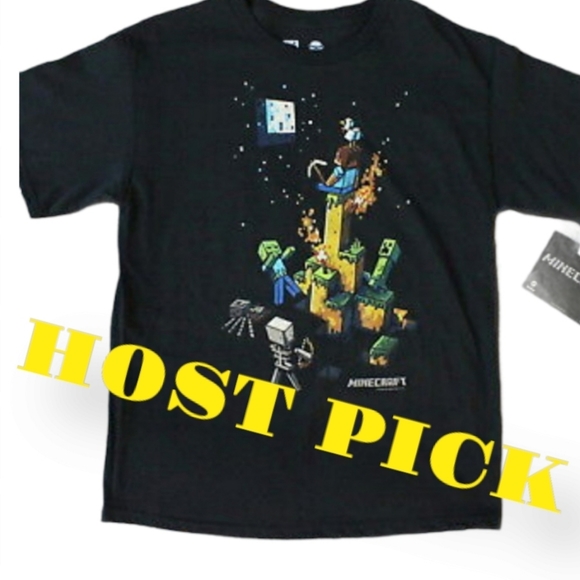 Mojang Other - T-shirt, Graphic, Minecraft, Boys Large Black